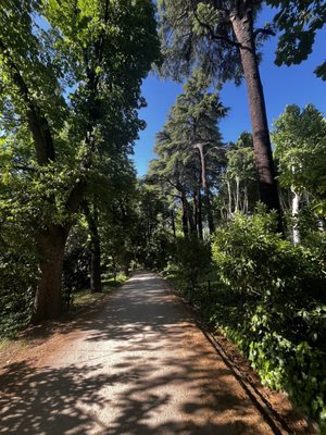 Campo del Moro by null