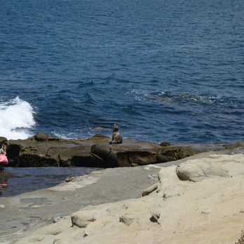 La Jolla Cove - Parks Near Me - La Jolla, California