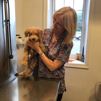 Canal Clinic - Hermoine and Dr. Taylor. - Veterinarians Near Me - Potomac, Maryland Canal Clinic - Hermoine and Dr. Taylor. - Veterinarians Near Me - Potomac, Maryland