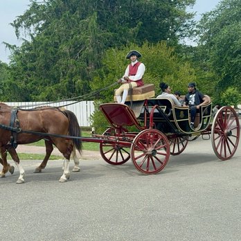 Colonial Williamsburg - Horse-drawn carriage - Tours Near Me - Williamsburg, Virginia