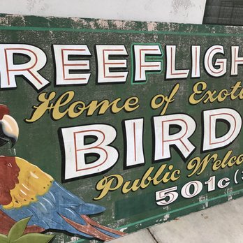 Free Flight - non-profit - Animal Shelters Near Me - Del Mar, California Free Flight - non-profit - Animal Shelters Near Me - Del Mar, California