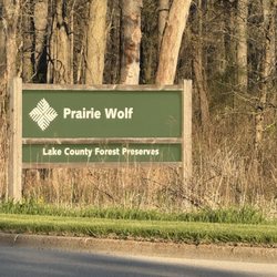 Prairie Wolf