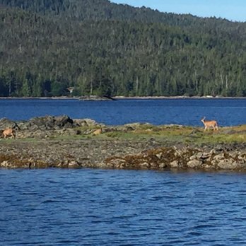 Lighthouse Excursion - Boat Tours Near Me Lighthouse Excursion - Boat Tours Near Me