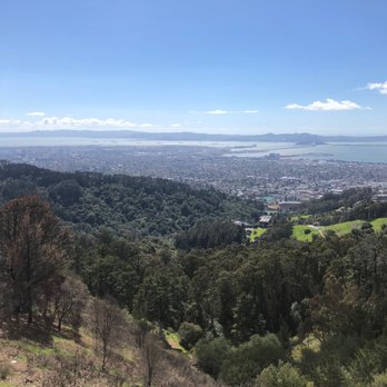 Tilden Regional Park - Parks Near Me - Berkeley, California
