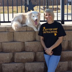 A Better Way Dog Training - Looking good Max, advanced and agility trained.
