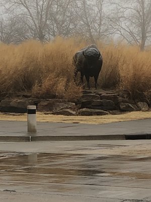 Sam Noble Oklahoma Museum of Natural History by null