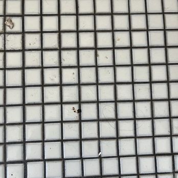 Inn At East Beach - Dirty shower floor. - Hotels Near Me - Santa Barbara, California Inn At East Beach - Dirty shower floor. - Hotels Near Me - Santa Barbara, California