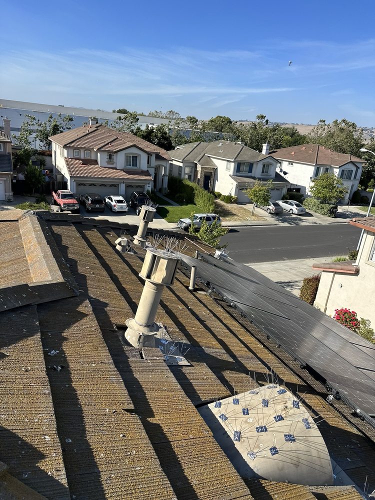 Slide of LAAC Roofing Services