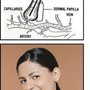 Photo of Electrolysis Just For You