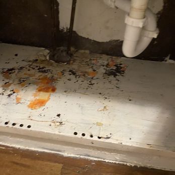 Renters 1st Choice - Under the sink - Property Management Near Me - St Louis, Missouri Renters 1st Choice - Under the sink - Property Management Near Me - St Louis, Missouri