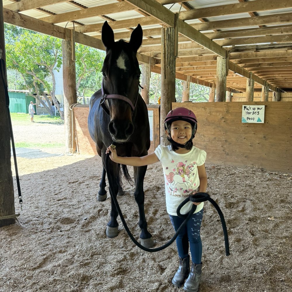 Aloha Riding Lessons - Horseback Riding Near Me - Honolulu, Hawaii Aloha Riding Lessons - Horseback Riding Near Me - Honolulu, Hawaii