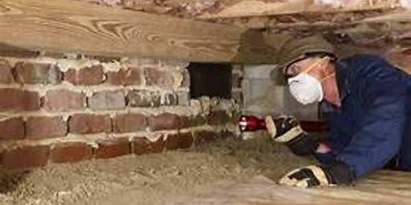 General Services - Jeramy Brown is a licensed certified technician with fifteen years of professional pest services in the Hampton Roads. This is a family owned and operated business always treating customers like family. Clean, reliable and always cost considerate to our customers. We strive to make pest control simple and effective. General Services - Jeramy Brown is a licensed certified technician with fifteen years of professional pest services in the Hampton Roads. This is a family owned and operated business always treating customers like family. Clean, reliable and always cost considerate to our customers. We strive to make pest control simple and effective.