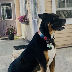 Salon 424 - Salon Mascot