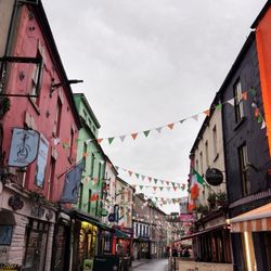 Wild Rover Tours - Galway