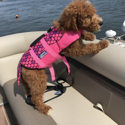 Freedom Boat Club Delaware