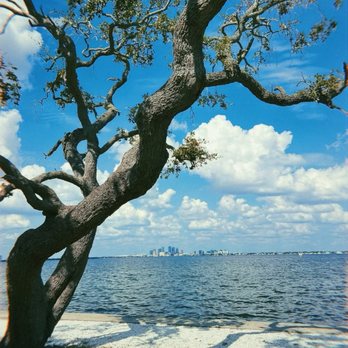 Ballast Point Park - Parks Near Me - Tampa, Florida