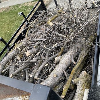 Valencia Lawn Care - a pile of tree branches in a truck - Lawn Services Near Me - West Pasco, Washington Valencia Lawn Care - a pile of tree branches in a truck - Lawn Services Near Me - West Pasco, Washington