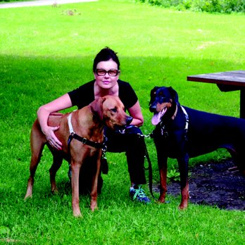Divine Dog Care - Dog Walking at the Park - Dog Walkers Near Me Divine Dog Care - Dog Walking at the Park - Dog Walkers Near Me