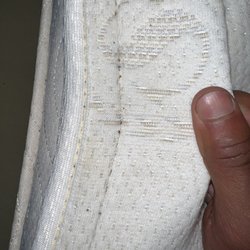 Capri Motel - More bedbugs