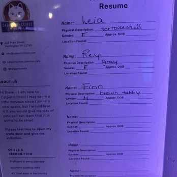 Catpurrccinos - New kitties - Themed Cafes Near Me - Huntington, New York Catpurrccinos - New kitties - Themed Cafes Near Me - Huntington, New York