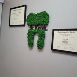 Cute decor and reassurance they are experts at their craft Cute decor and reassurance they are experts at their craft