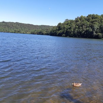 La Zone Humide du Lac d'Aydat - Lakes Near Me - Aydat, 63
