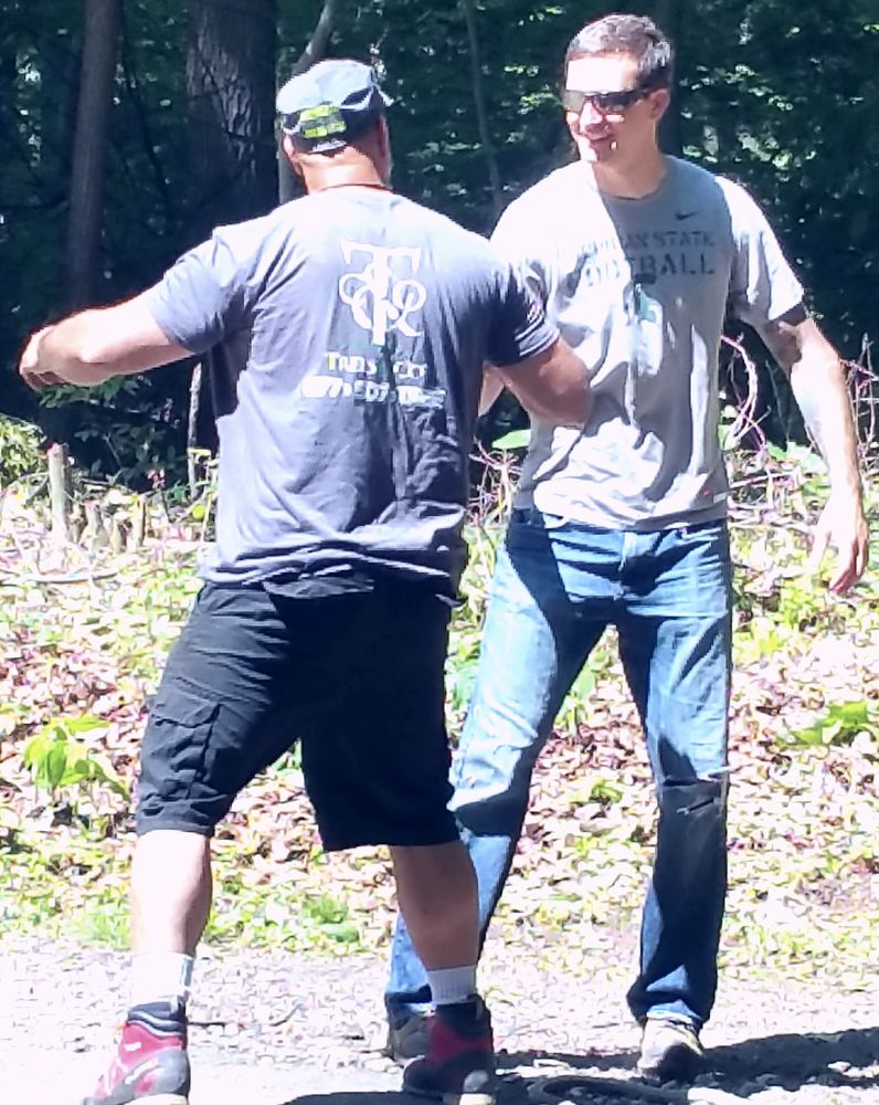 Trees & Company - tree service in Pontiac, MI