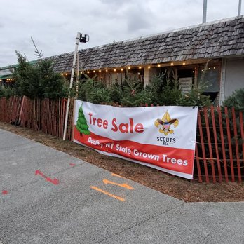 I-Square - Christmas trees at isquare - Venues & Event Spaces Near Me - Rochester, New York
