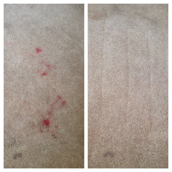 Resurrection Carpet Cleaning - Red lipstick removal before and after. - Carpet Cleaning Near Me Resurrection Carpet Cleaning - Red lipstick removal before and after. - Carpet Cleaning Near Me