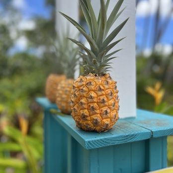 Dole Plantation - Tours Near Me - Wahiawa, Hawaii Dole Plantation - Tours Near Me - Wahiawa, Hawaii