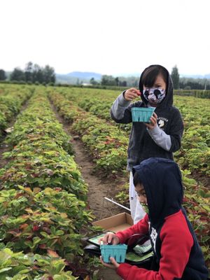 Biringer Farms by null