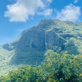 Kipu Ranch Adventures - So cool - Tours Near Me - Lihue, Hawaii Kipu Ranch Adventures - So cool - Tours Near Me - Lihue, Hawaii