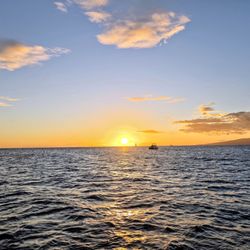 Hawaii Glass Bottom Boats - Out on the Water with Hawaii Glass Bottom Boat Tours