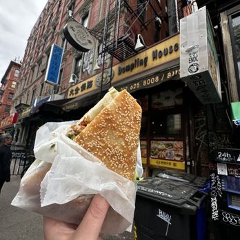 Vanessa's Dumpling House - 17A. Sesame Pancake with Peking Duck - Chinese Near Me - New York, New York Vanessa's Dumpling House - 17A. Sesame Pancake with Peking Duck - Chinese Near Me - New York, New York