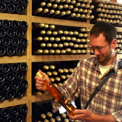 Obstweinkellerei Bestwinus