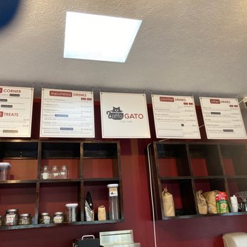 affoGATO Cat Café - Themed Cafes Near Me - Cleveland, Ohio