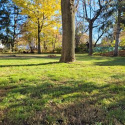 Back Hurt's Lawn Care