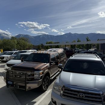 Wienerschnitzel - Full house! - Hot Dogs Near Me - Minden, Nevada Wienerschnitzel - Full house! - Hot Dogs Near Me - Minden, Nevada