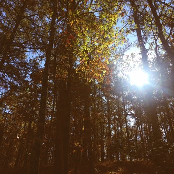Beavers Bend State Park - Parks Near Me - Broken Bow, Oklahoma