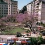 Photo of Plaza Houssay