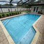 Photo of Sharkie Pools