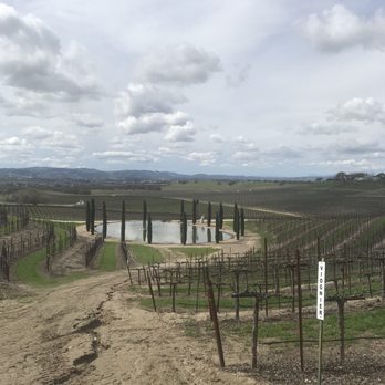 Pear Valley - View from patio - Wineries Near Me - Paso Robles, California Pear Valley - View from patio - Wineries Near Me - Paso Robles, California