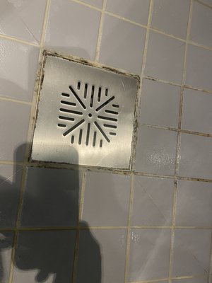 Gothia Towers by null