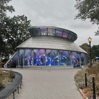 SeaGlass Carousel - Carousels Near Me - New York, New York