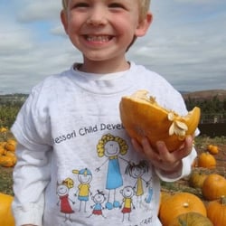 Montessori Child Development Center - Poway - MCDC pumpkin patch field trip.