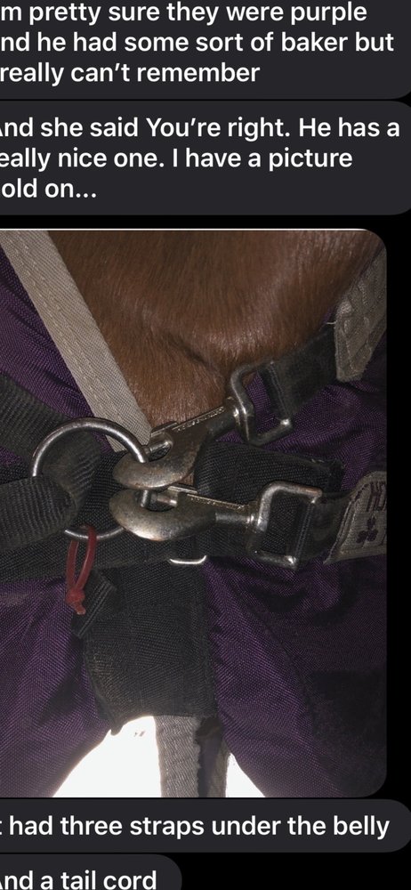 Iron Horse Farm - equestrian in Johns Island, SC