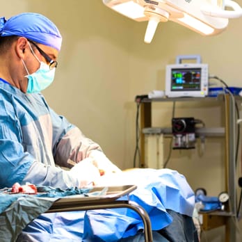 Rosslyn Veterinary Clinic - Surgery suite - Veterinarians Near Me - Edmonton, Alberta Rosslyn Veterinary Clinic - Surgery suite - Veterinarians Near Me - Edmonton, Alberta