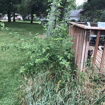 His Workmanship - Twin Cities - Before" photo of a treated area. - Landscaping Near Me His Workmanship - Twin Cities - Before" photo of a treated area. - Landscaping Near Me