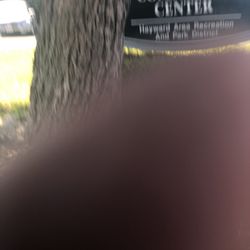 Ashland Community Center - Park signage