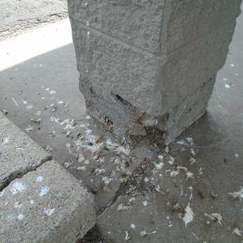 Broadway Bar & Pizza - Front walk-up dirty and in disrepair - some cleaning and patching please! - Pizza Near Me - Elk River, Minnesota